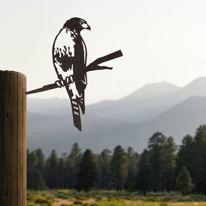Metalbird - Vente Bibelots/décorations d'extérieur - Art du jardin de la buse à queue rousse | Décoration d'intérieur | Cadeaux5