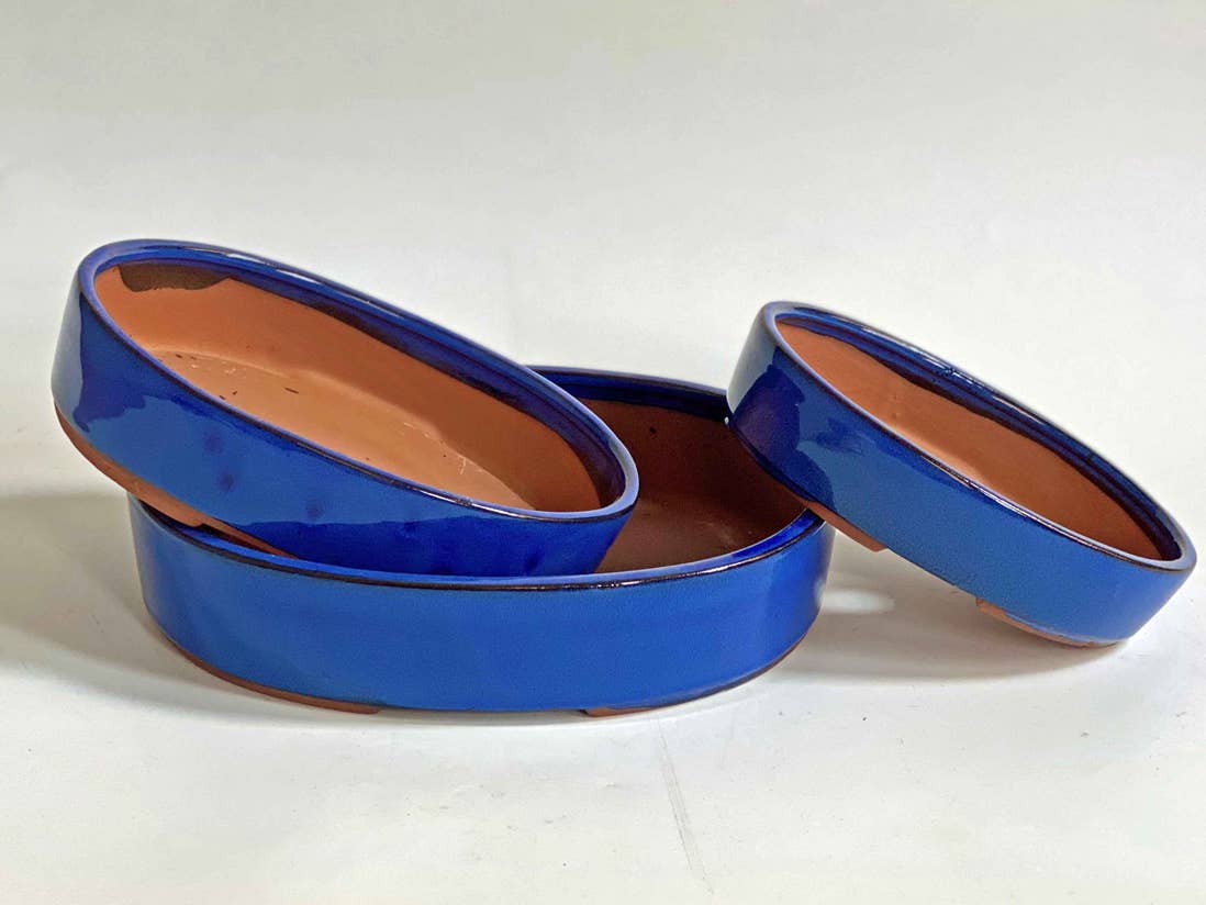 Pacific Home & Garden - Wholesale Plant Pot - Kyoto Bonsai Falling Blue Set Of 3