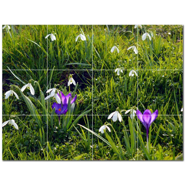 Mural de Azulejo Cerâmico Primavera PT500955 por atacado de Picture-Tiles.com