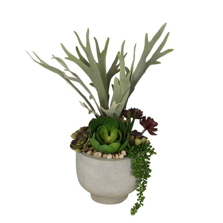 Replica Plants and Decor - Vente Pot - Bols à compote Mack Collection CN10071
