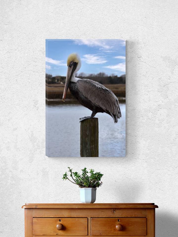 Perched Majesty - Canvas print a pelican on a piling for wholesale by Sherry Pfeifle Studio