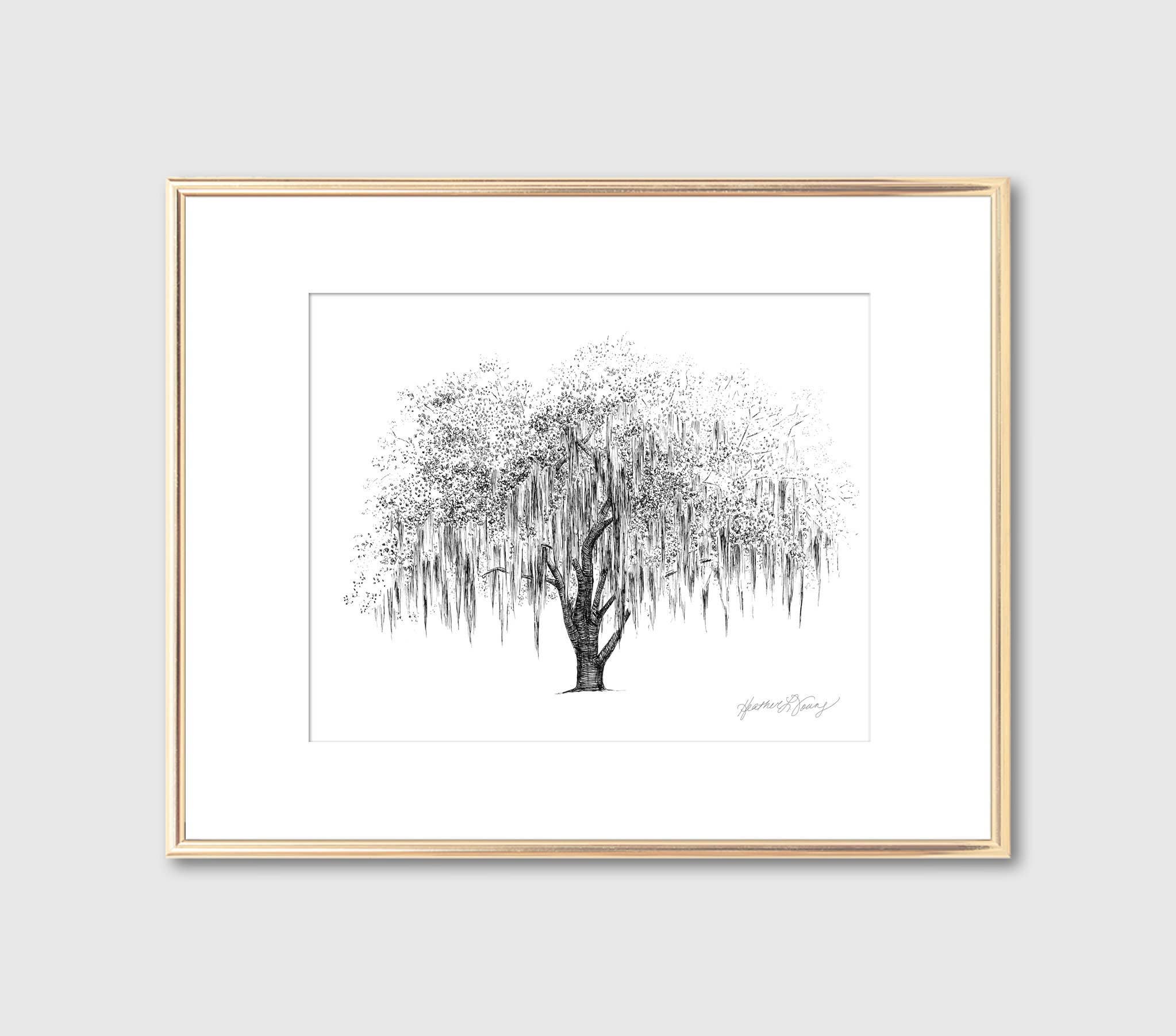 Fly Young Studio - Wholesale Art Print - Hunter Oak Tree - Southern Live Oak Tree Signed Art Print3