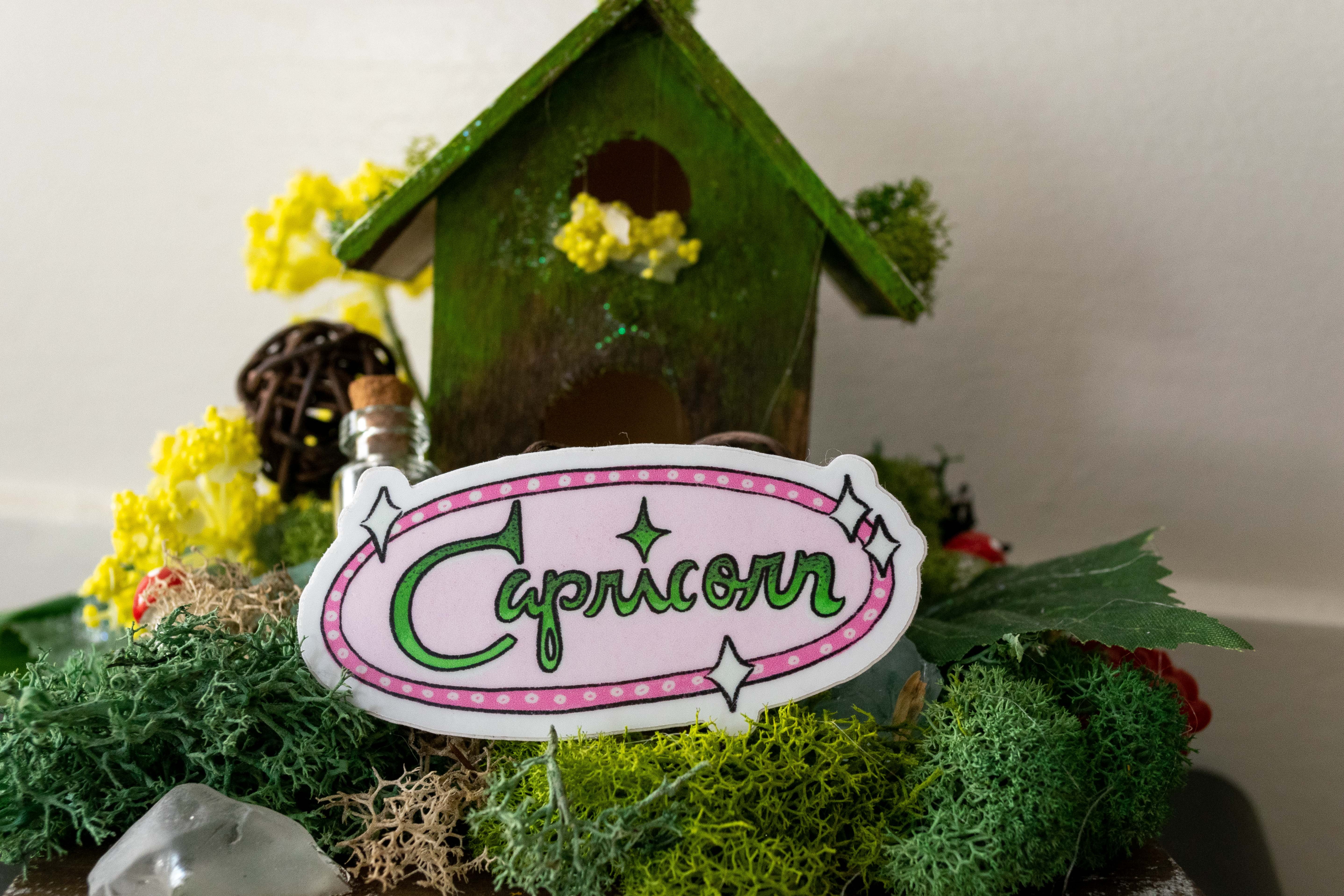 Art By Elowyn - Wholesale Sticker - Vintage Inspired Zodiac Stickers0