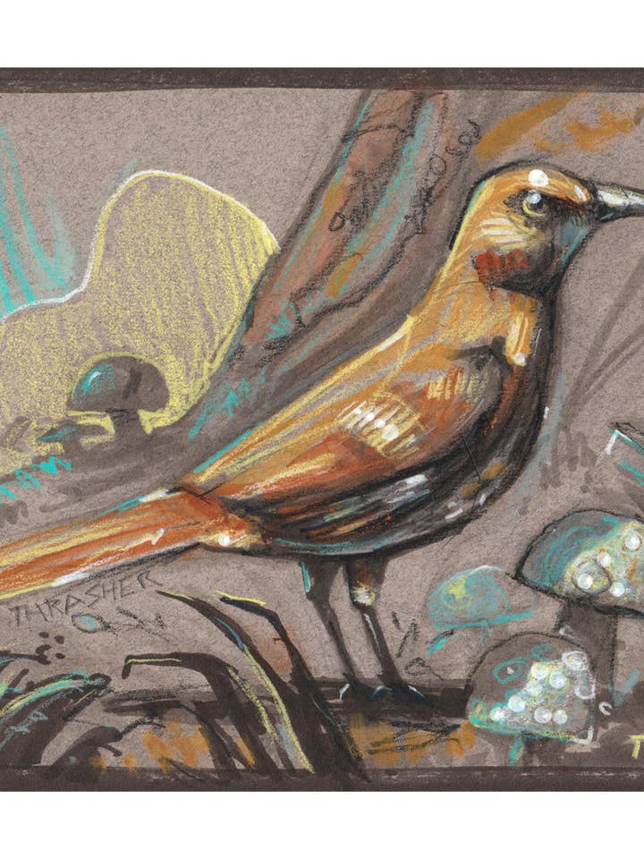 Thrasher castanho, impressão artística, pássaro, natureza, observador de aves por atacado de TIM LEE RABBIT RUN STUDIOS