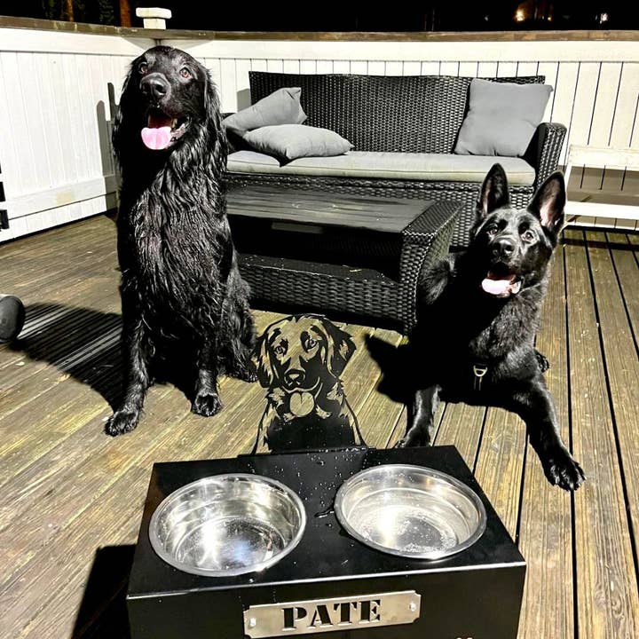 Suporte Elevado para Tigela de Cão – Tamanho L (Altura 25 cm) por atacado de Teraskyltit.fi