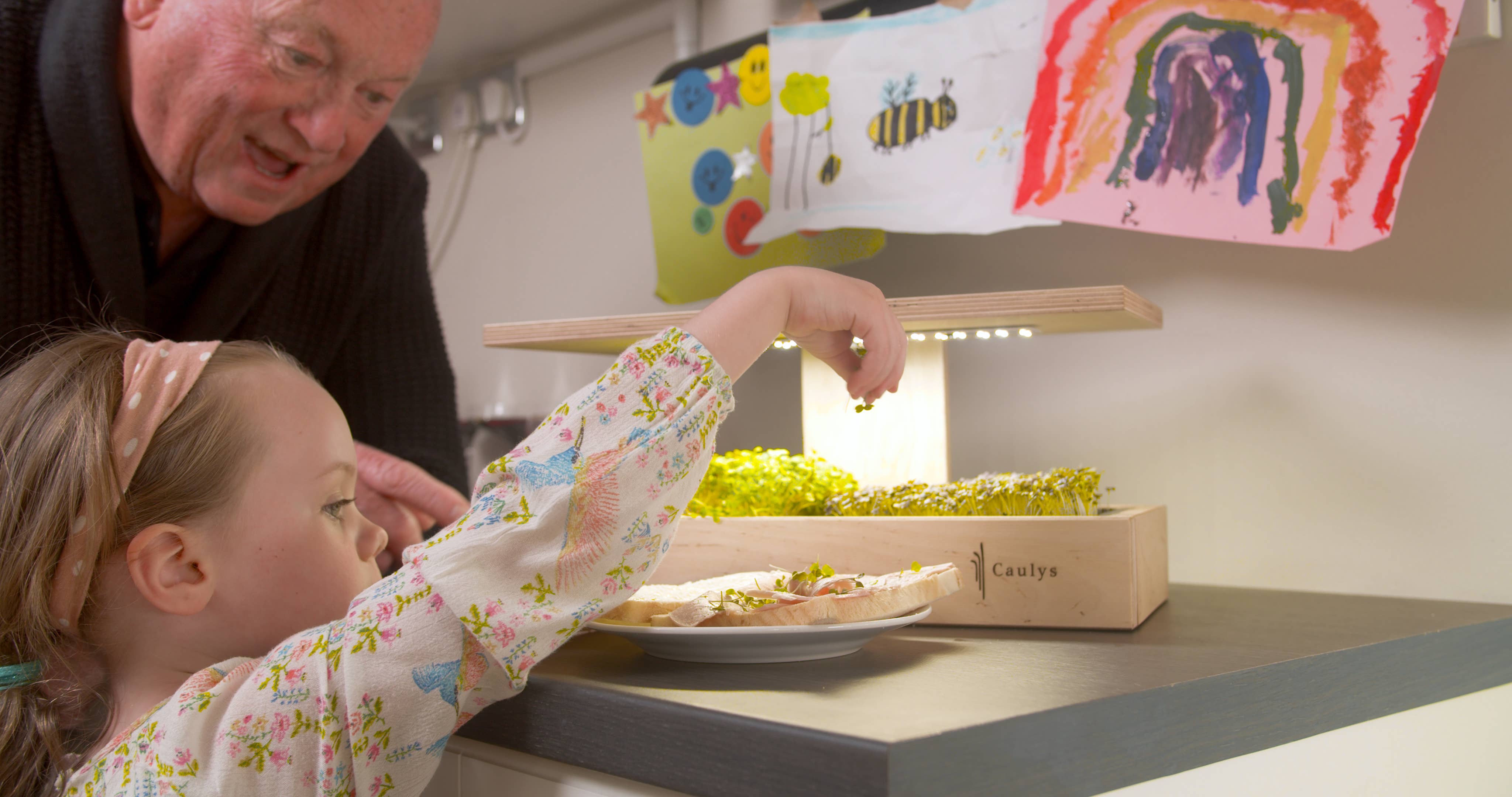 Caulys - Wholesale Plant Pot - Caulys Home - SOLO11