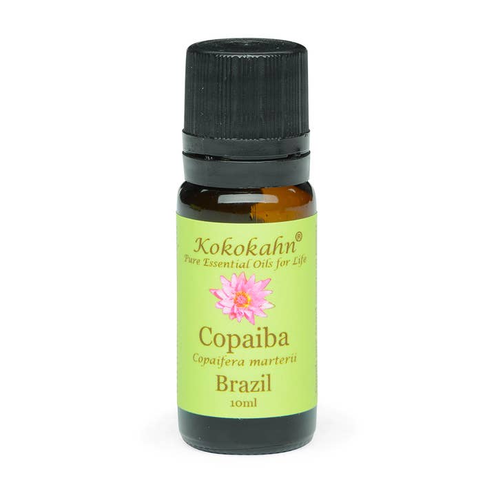 Copaiba (Copaifera Marterii) for wholesale by Kokokahn Essential Oils
