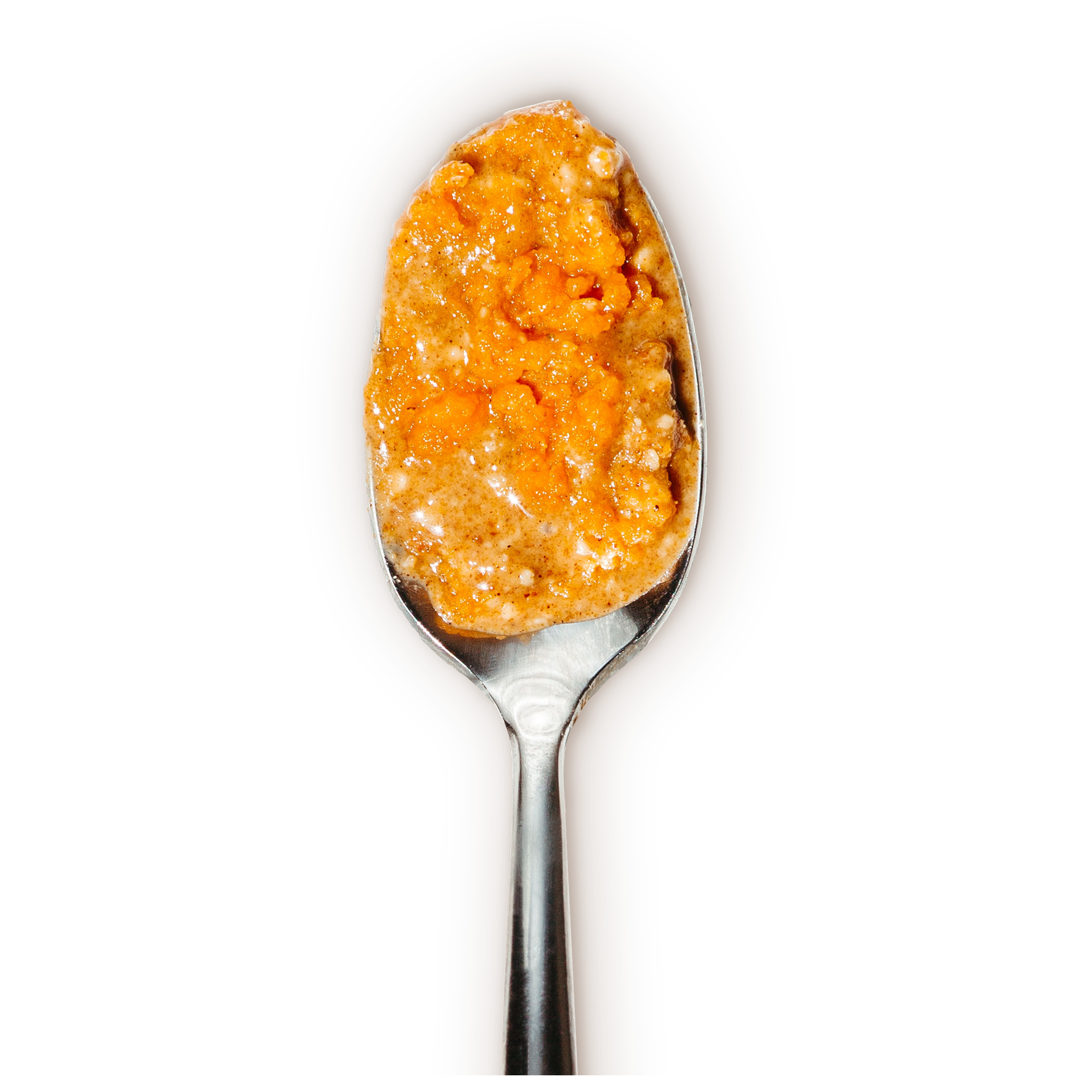 BNutty Peanut Butter - Wholesale Nut Butter - Pumpkin Spice BNutty Peanut Butter- Case of 6- 9oz1