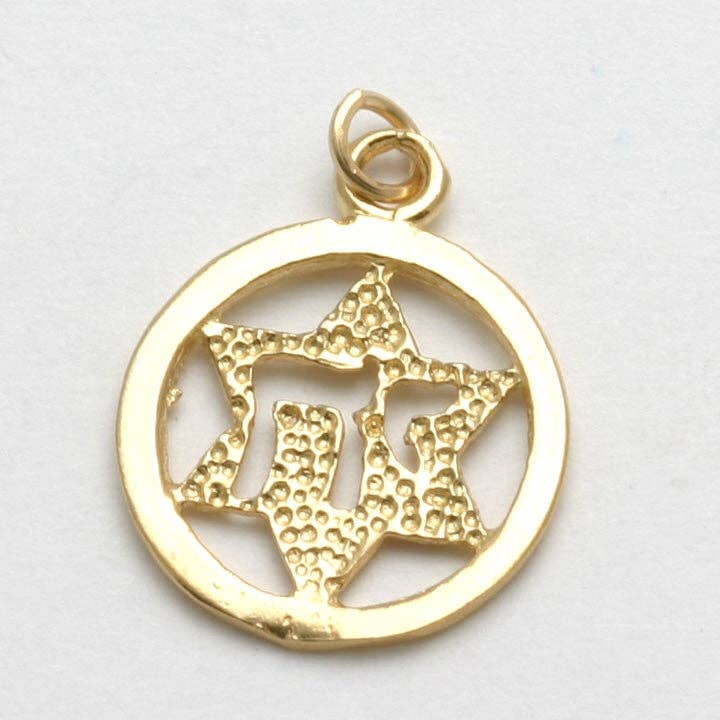 Bareket Fine Jewelry - Wholesale Individual Charm/Pendant - 14k Yellow Gold Star of David Chai Encircled Pendant1