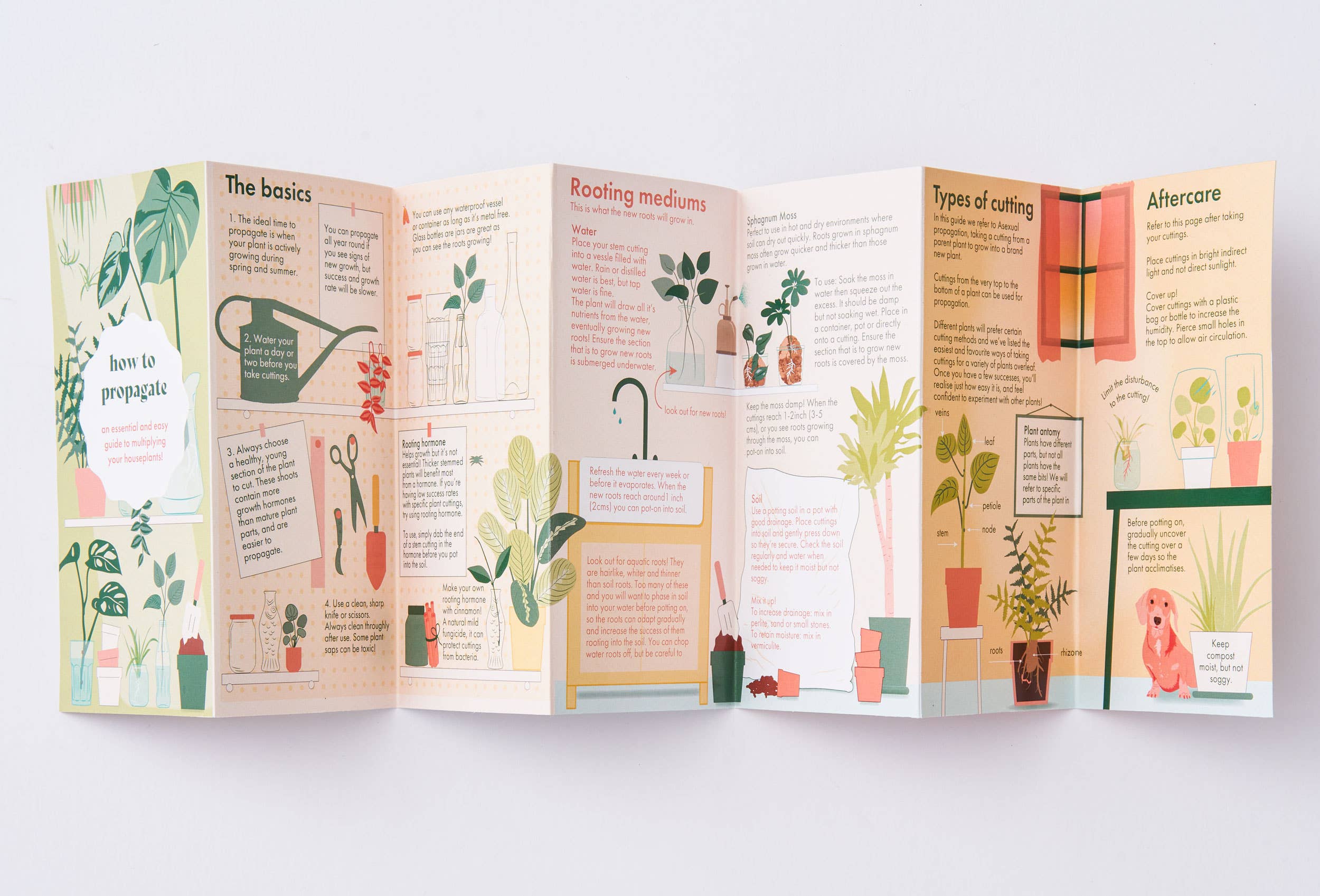 Another Studio UK - Vente Maison et jardin - Guide de poche sur la propagation des plantes pour les amateurs de plantes d'intérieur3