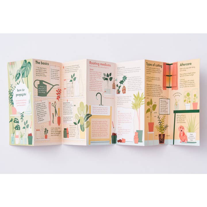 Another Studio UK - Vente Maison et jardin - Guide de poche sur la propagation des plantes pour les amateurs de plantes d'intérieur3