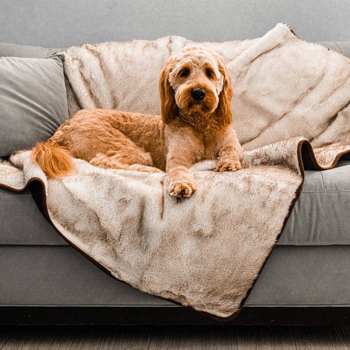 Paw Brands - Wholesale Pet Blanket - Dog - PupProtector™ Short Fur Waterproof Throw Blanket - White with Brown Accents