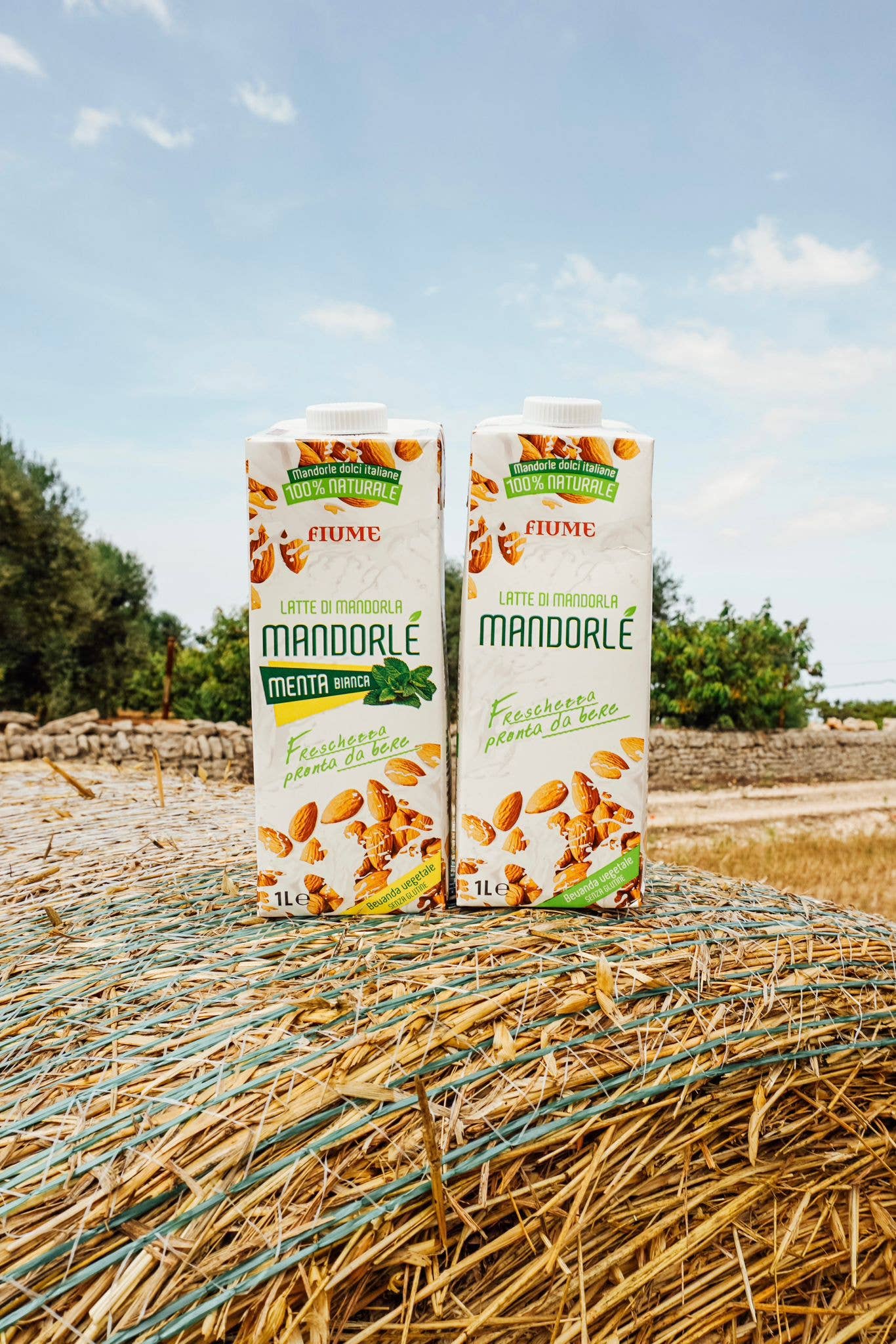 Licor srl Unipersonale - Wholesale Non-Dairy Milk - Mandorlé White Mint, almond and mint drink1