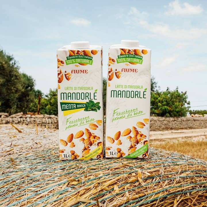 Licor srl Unipersonale - Wholesale Non-Dairy Milk - Mandorlé White Mint, almond and mint drink1
