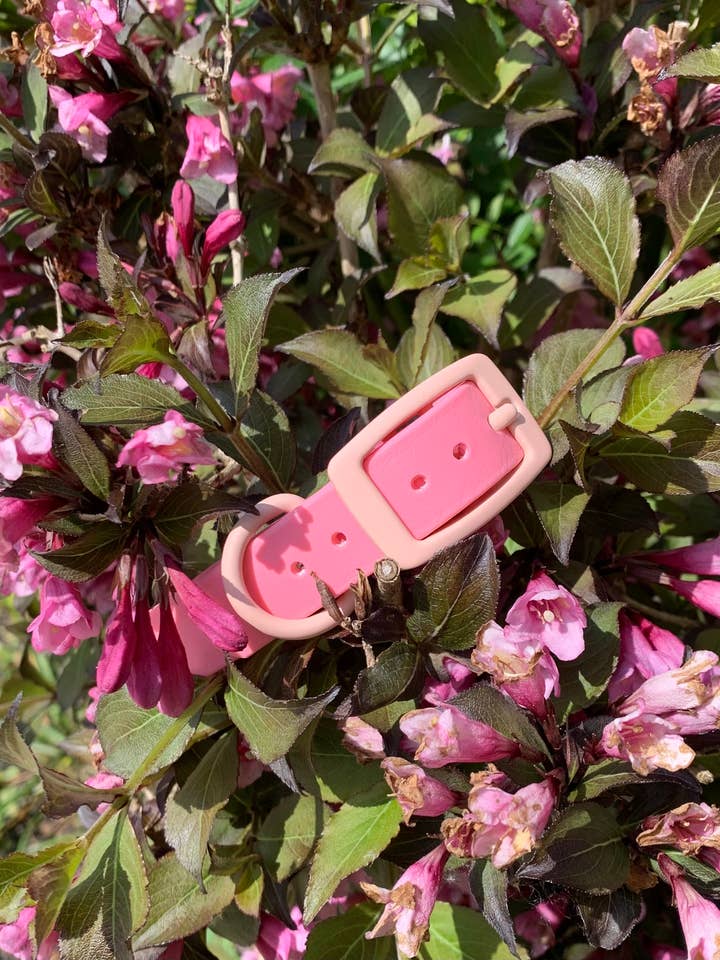 Cuello BioThane rosa pastel para venta al por mayor de Cavapoo Creations