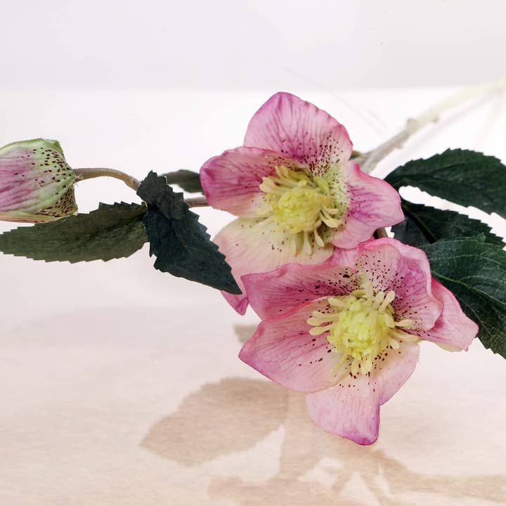 Mezu Silk Flowers - Wholesale Artificial Flowers - Artificial Pale Pink Hellebores1