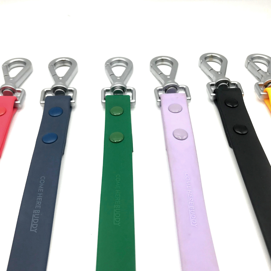 Come Here Buddy - Wholesale Pet Leash - Dog - Dog Leash9
