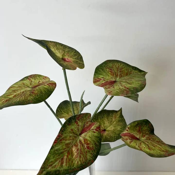 CMC Wholesale - Wholesale Artificial Plant - Caladium 12.5" Bush - Green/Pink