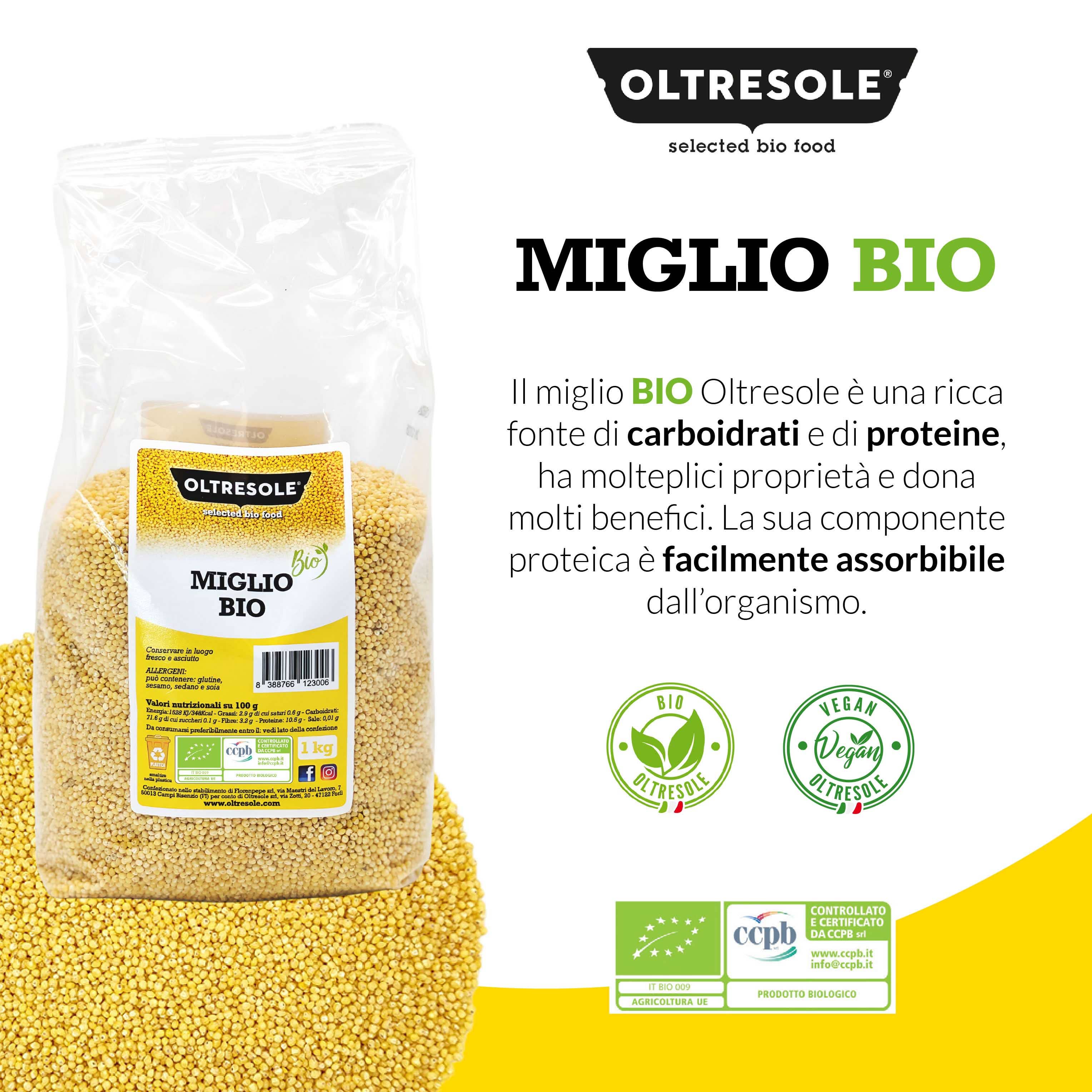 Oltresole - Wholesale Whole Grains - ORGANIC MILLET 1 Kg1