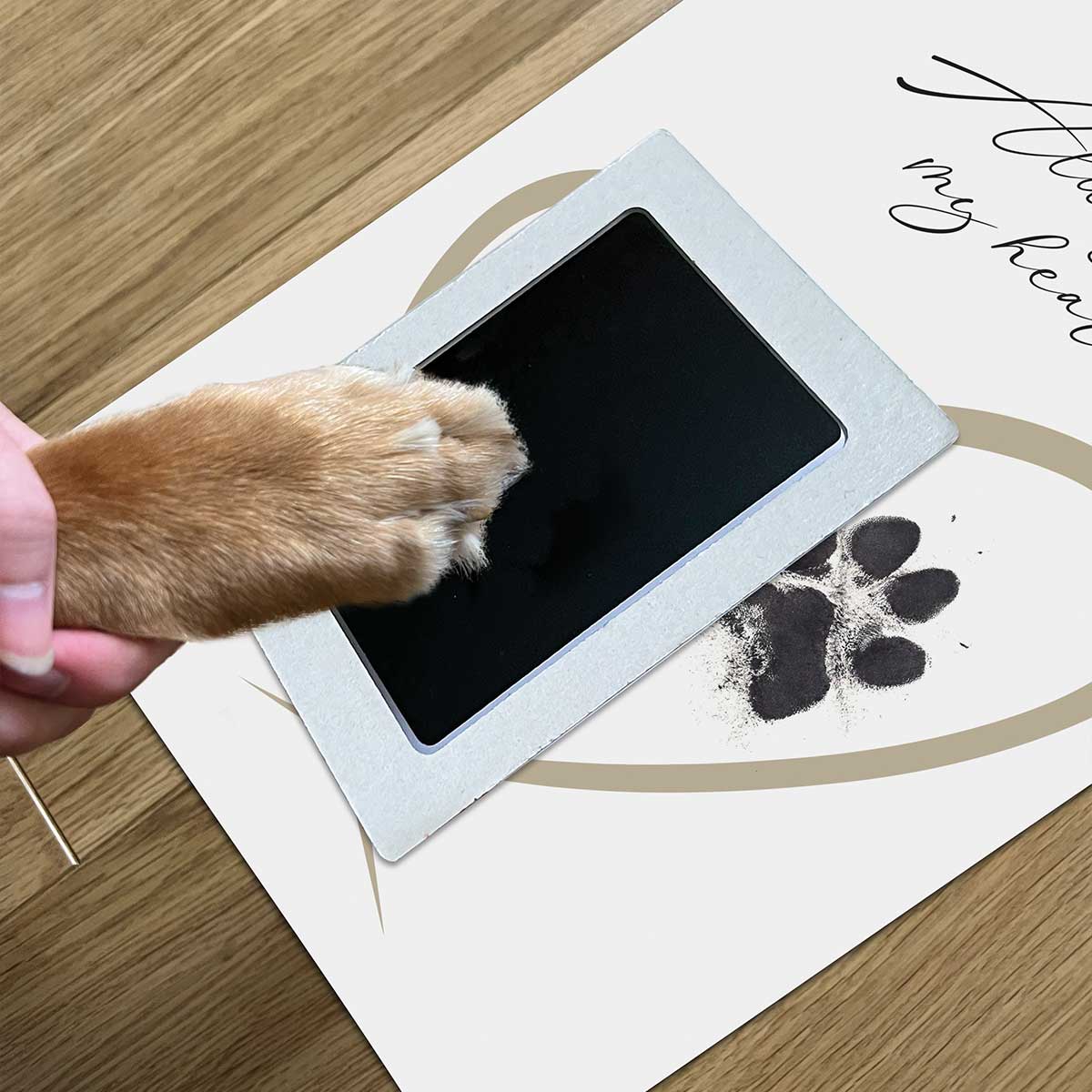 The Lovely Gift Group - Wholesale Picture Frame - Framed Pet Paw Print Keepsake With Ink Kit2