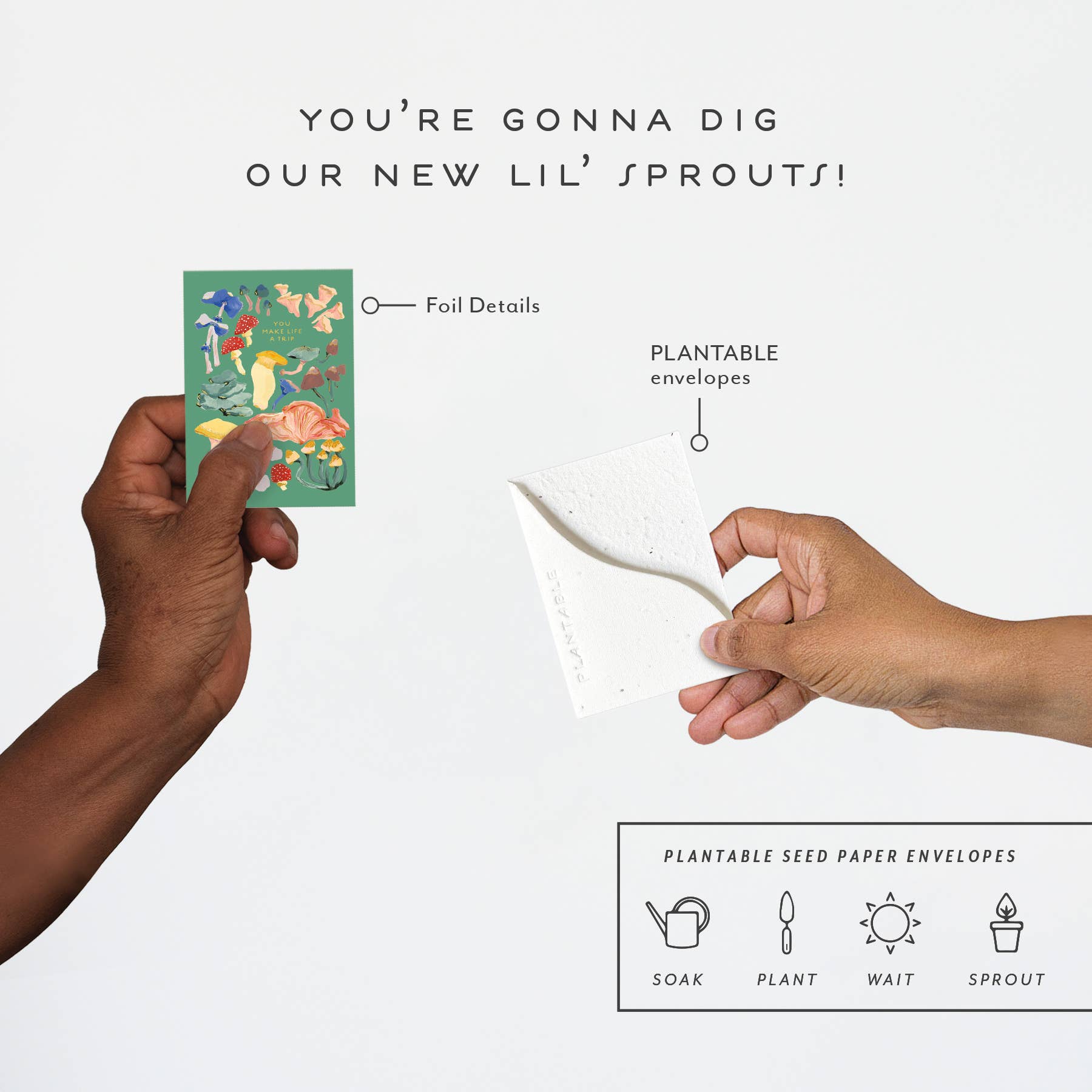 Seedlings - Wholesale Friendship Card - Shrooms Sprout - Friendship Mini Greeting Card (2.5" x 3.5")3