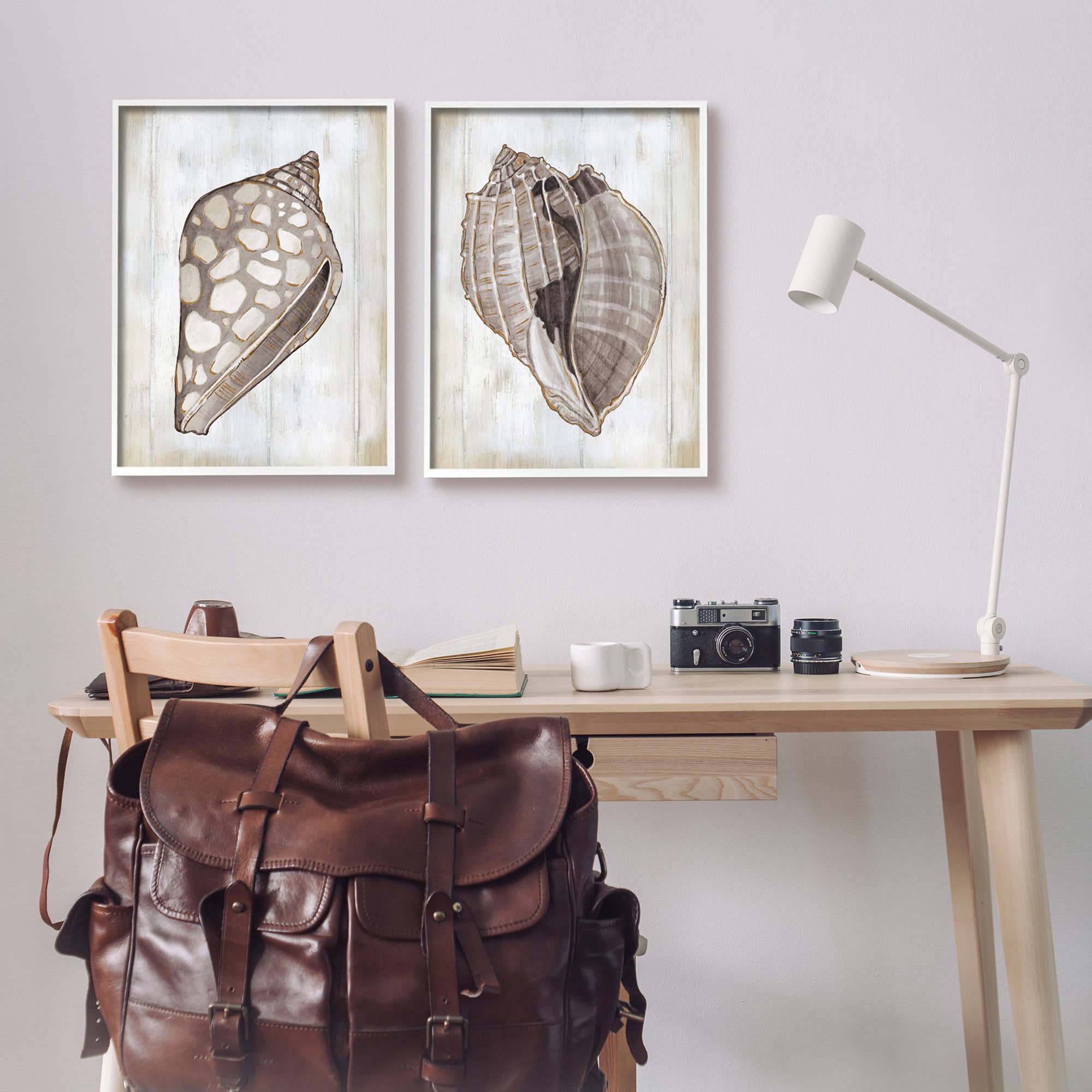 Stupell Industries - Wholesale Gallery Wall Set - Brown Nautilus Sea Shells 2pc Framed7