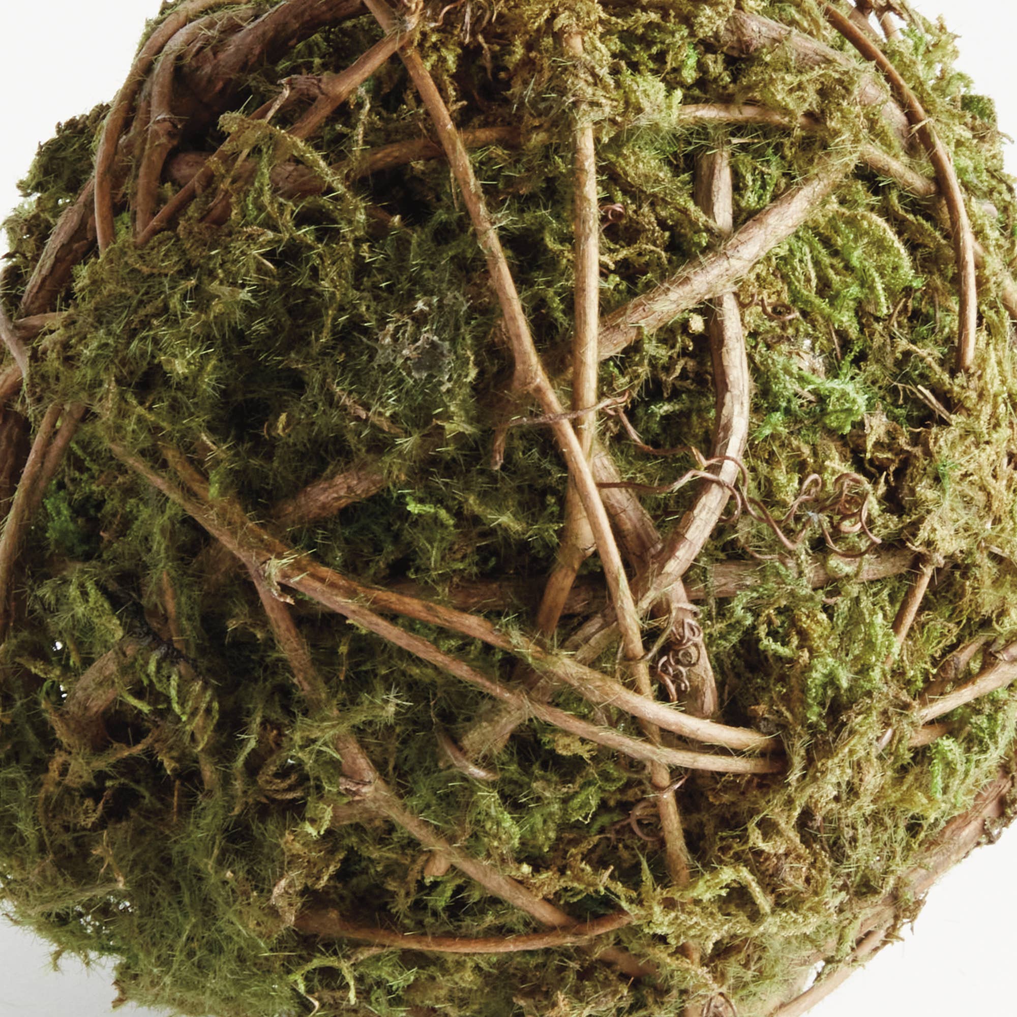 Vert Orbe Mossy Vine 6 pouces en vente sur Faire1