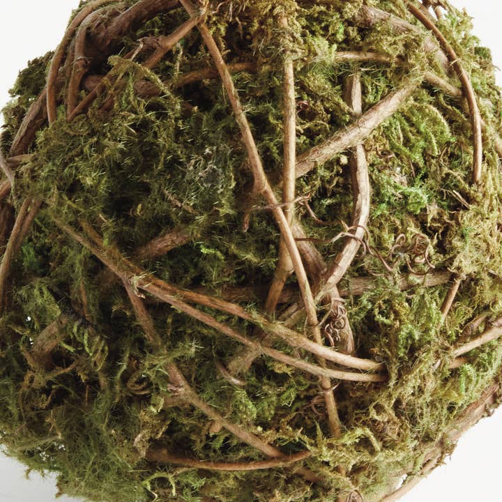 Vert Orbe Mossy Vine 6 pouces en vente sur Faire1