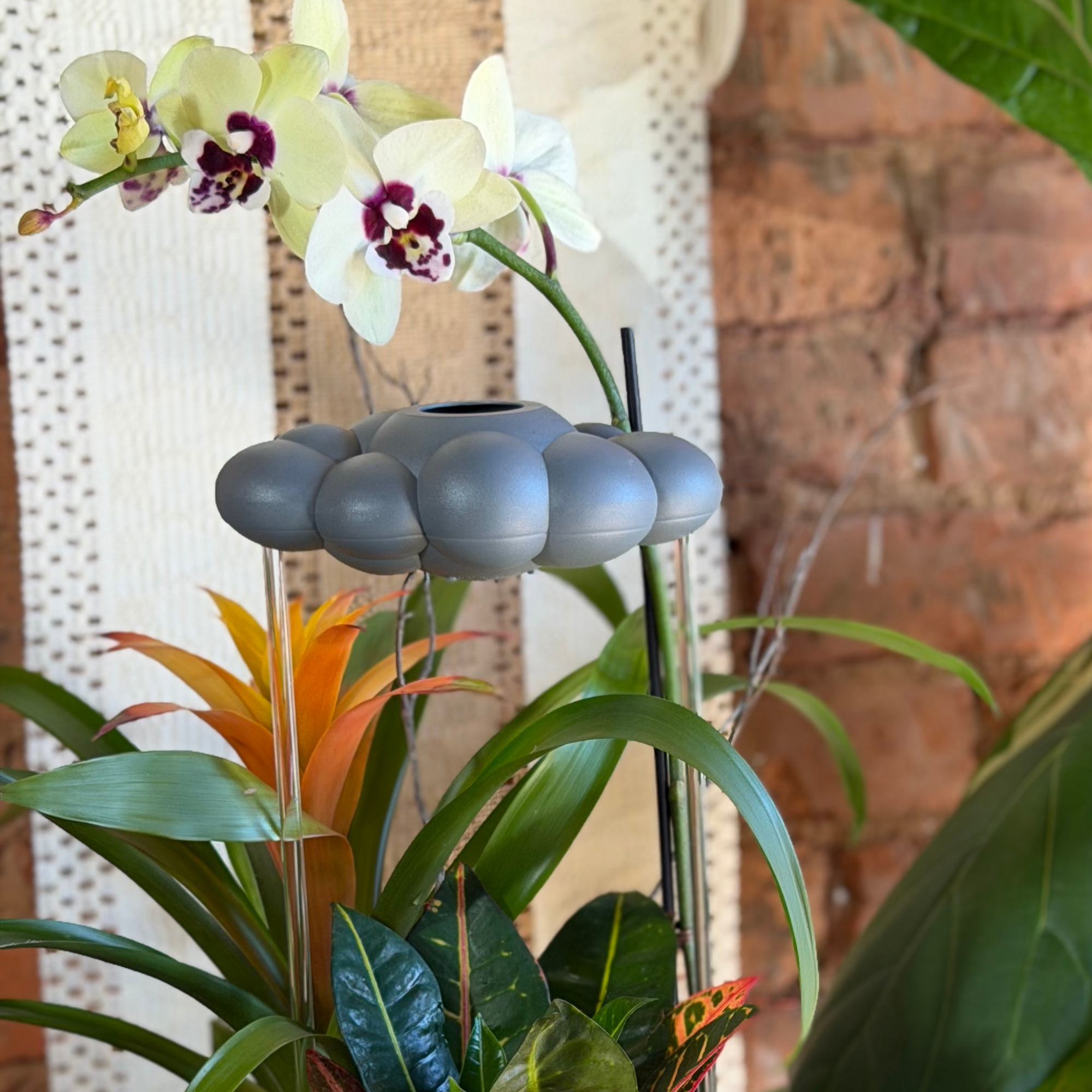 The Cloud Makers - Wholesale Watering Can - Stormy Cloud Boutique Pack with Charm Bundle6