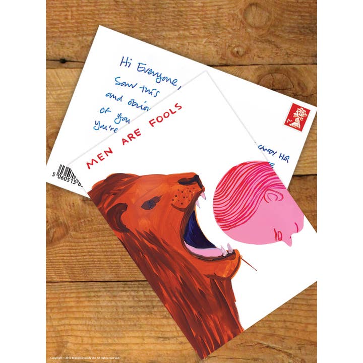 David Shrigley x Brainbox Candy - Vente Cartes postales - Carte postale artistique A6 amusante par David Shrigley - Les hommes sont des imbéciles1