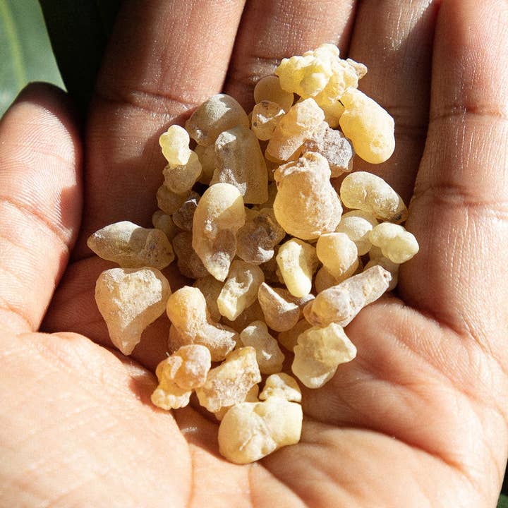 rökelse för wholesale av Rue Dix Brooklyn