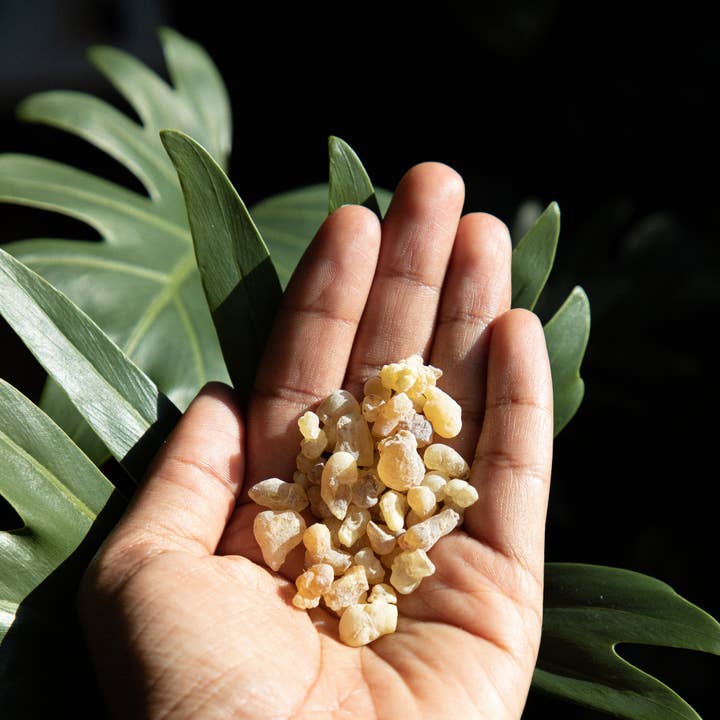 Frankincense for wholesale by Rue Dix Brooklyn
