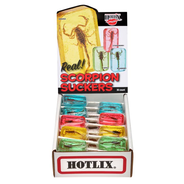 Candy Barn Express - Wholesale Lollipop - Scorpion Suckers Assorted Lollipops - 36 Count