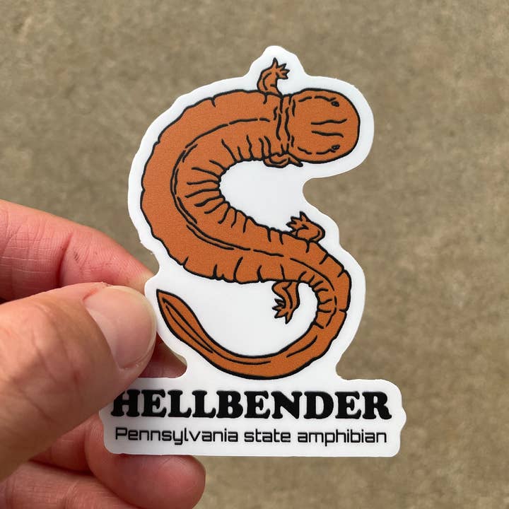 Hellbender salamander vinyl sticker for wholesale by KM Art and Design
