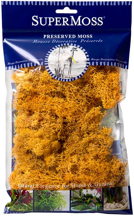 SuperMoss – Großhandel Pflanzen – SuperMoss Rentiermoos konserviert, 57 g Beutel15