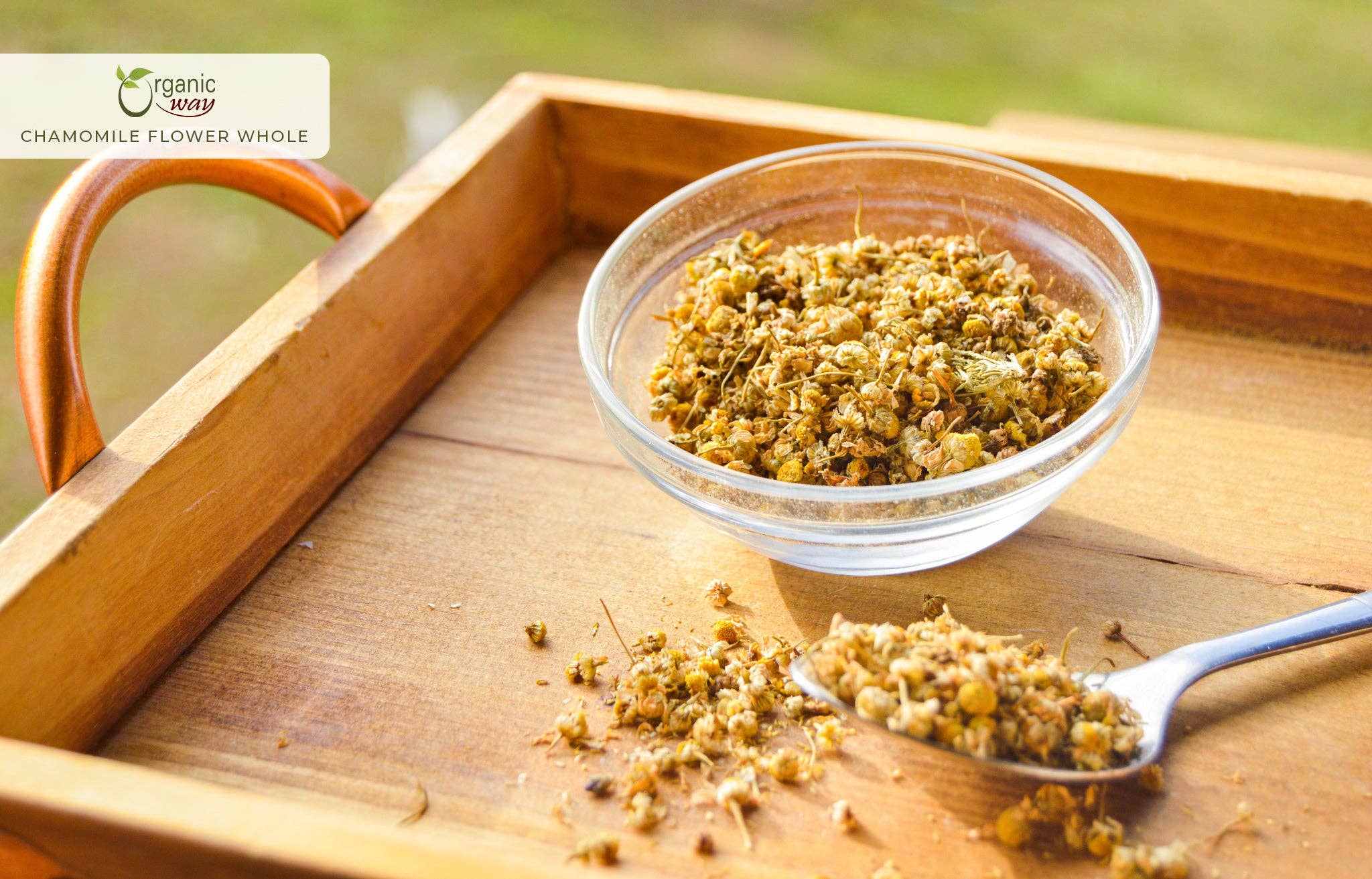 Organic Way LLC – Großhandel Loser Tee – Ganzblüten der Kamille (Matricaria chamomilla) – Kräutertee | Europäische Wildsammlung | Koscher & USDA-zertifiziert | Vegan, Ohne Gentechnik & Glutenfrei | 100 % Rohware aus Albanien1