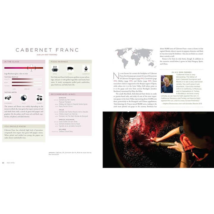 Hachette Book Group - Wholesale Mixology & Beverage - Red Wine: The Comprehensive Guide to the 50 Essential Styles2
