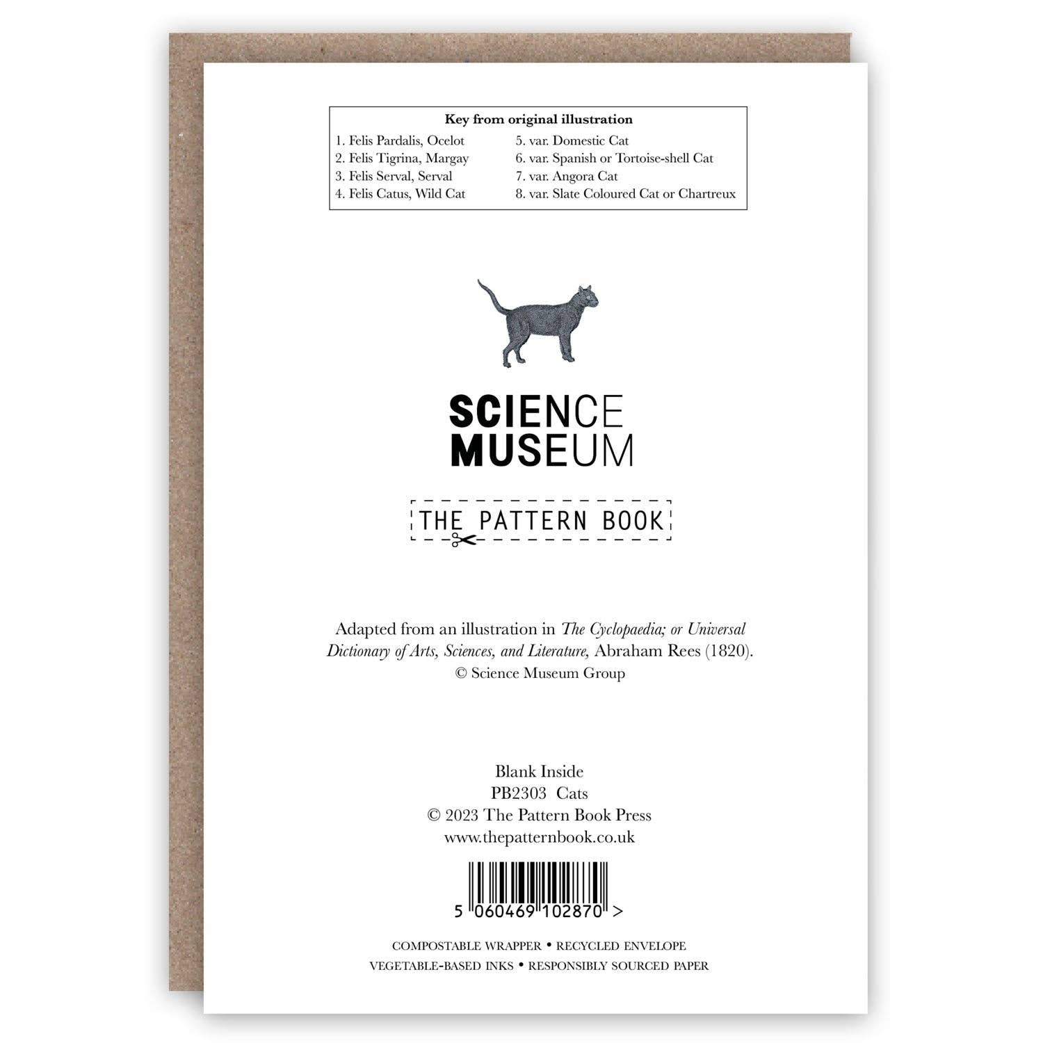 The Pattern Book - Wholesale Everyday Greeting Card - Cats1