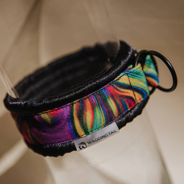 Collar RIO for wholesale by Wagging Tail