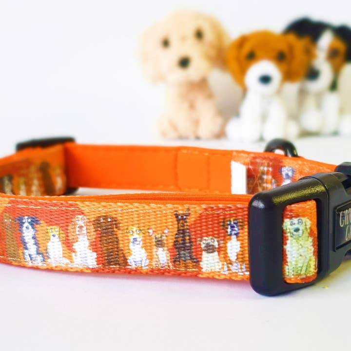 All Dogs' Dog Collar and other Purchase Wholesale designer dog collars. Free Returns & Net 60 Terms on Faire trending on Faire.