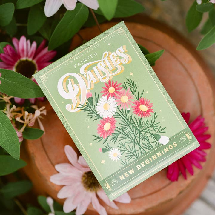 To & From Gift Co. - Wholesale Plant Seeds - Painted Daisies (New Beginnings) - Floriography Seed Packet