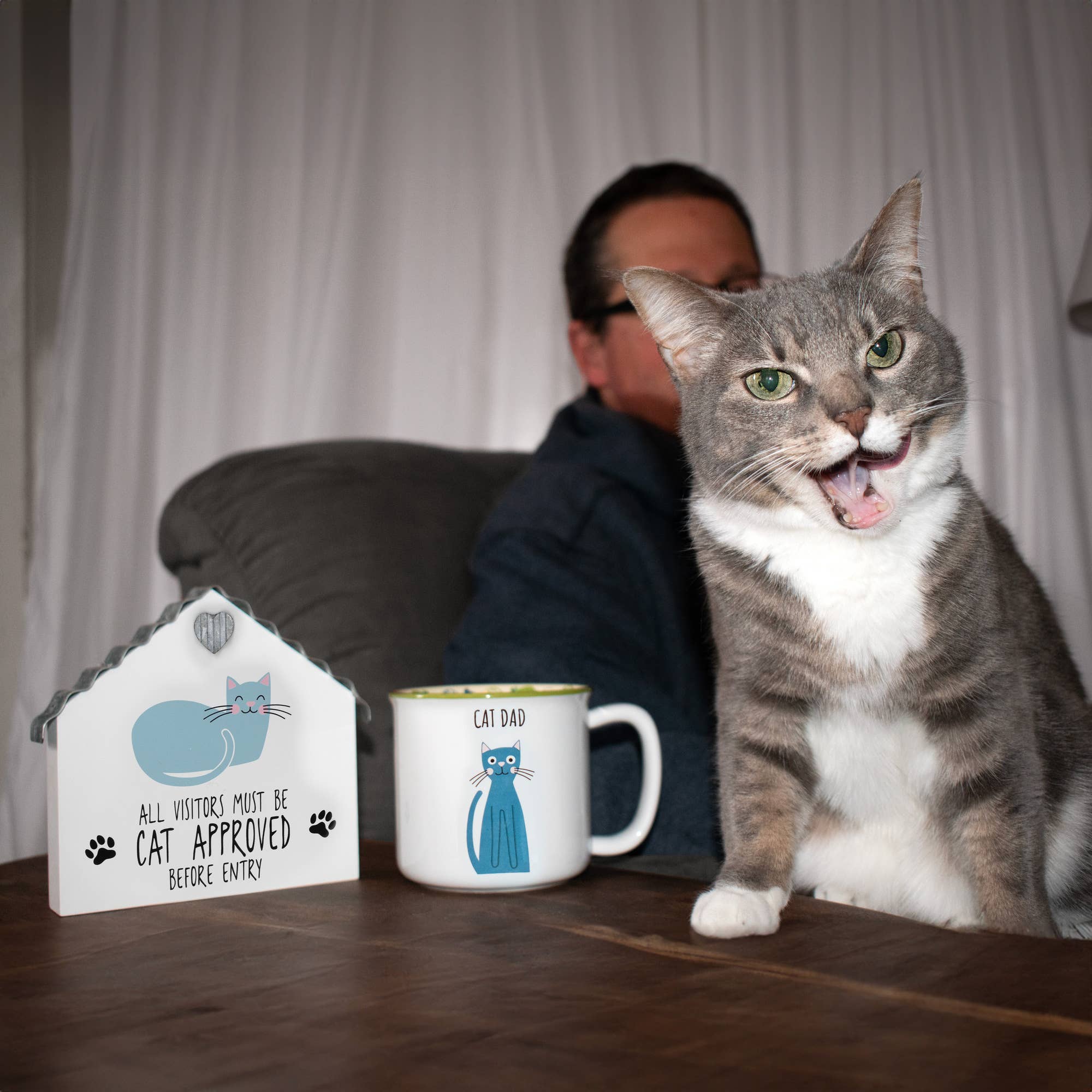 Pavilion - Wholesale Coffee Mug - Cat Dad - 18 oz Mug2