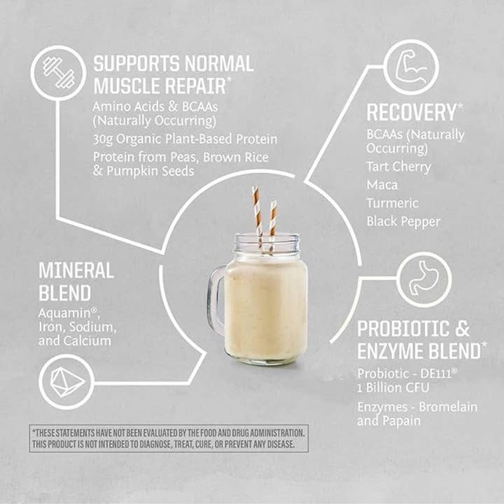 Sunwarrior - Wholesale Protein/Superfood Powder - Cake Batter Active Protein - Plant-Based, Gluten-Free4