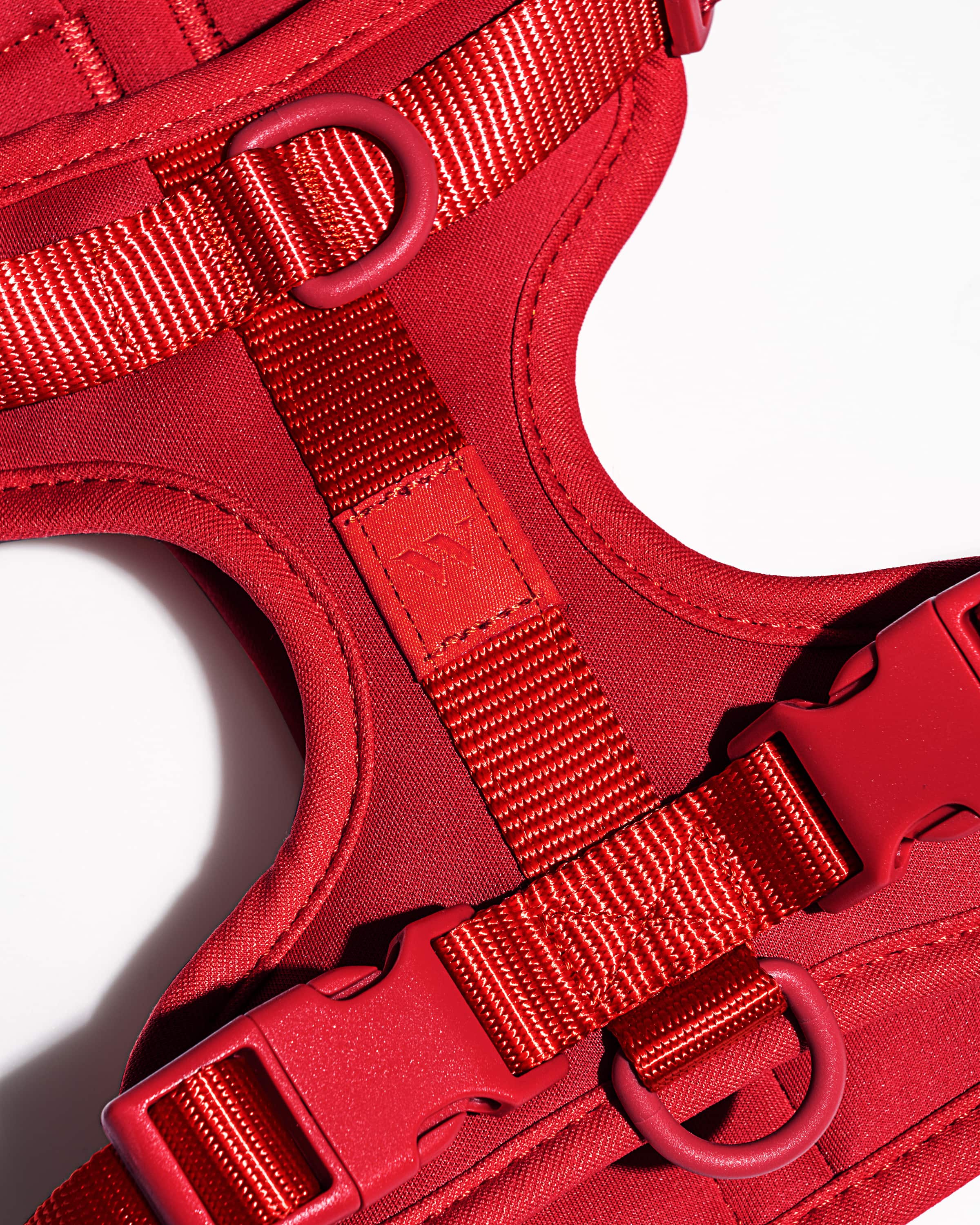 Wild One - Wholesale Pet Harness - Dog - Harness10