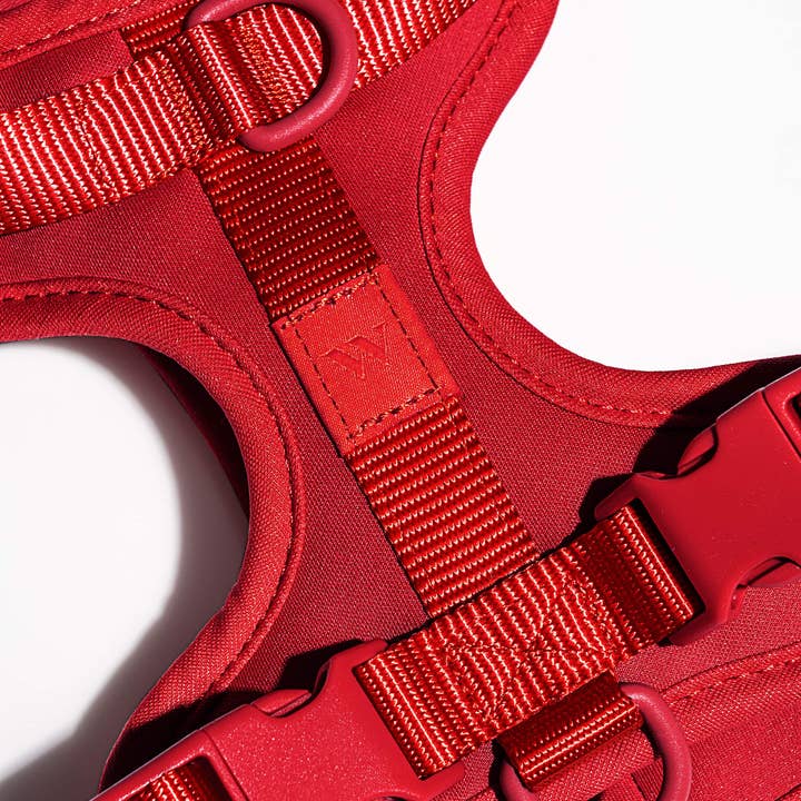 Wild One - Wholesale Pet Harness - Dog - Harness10