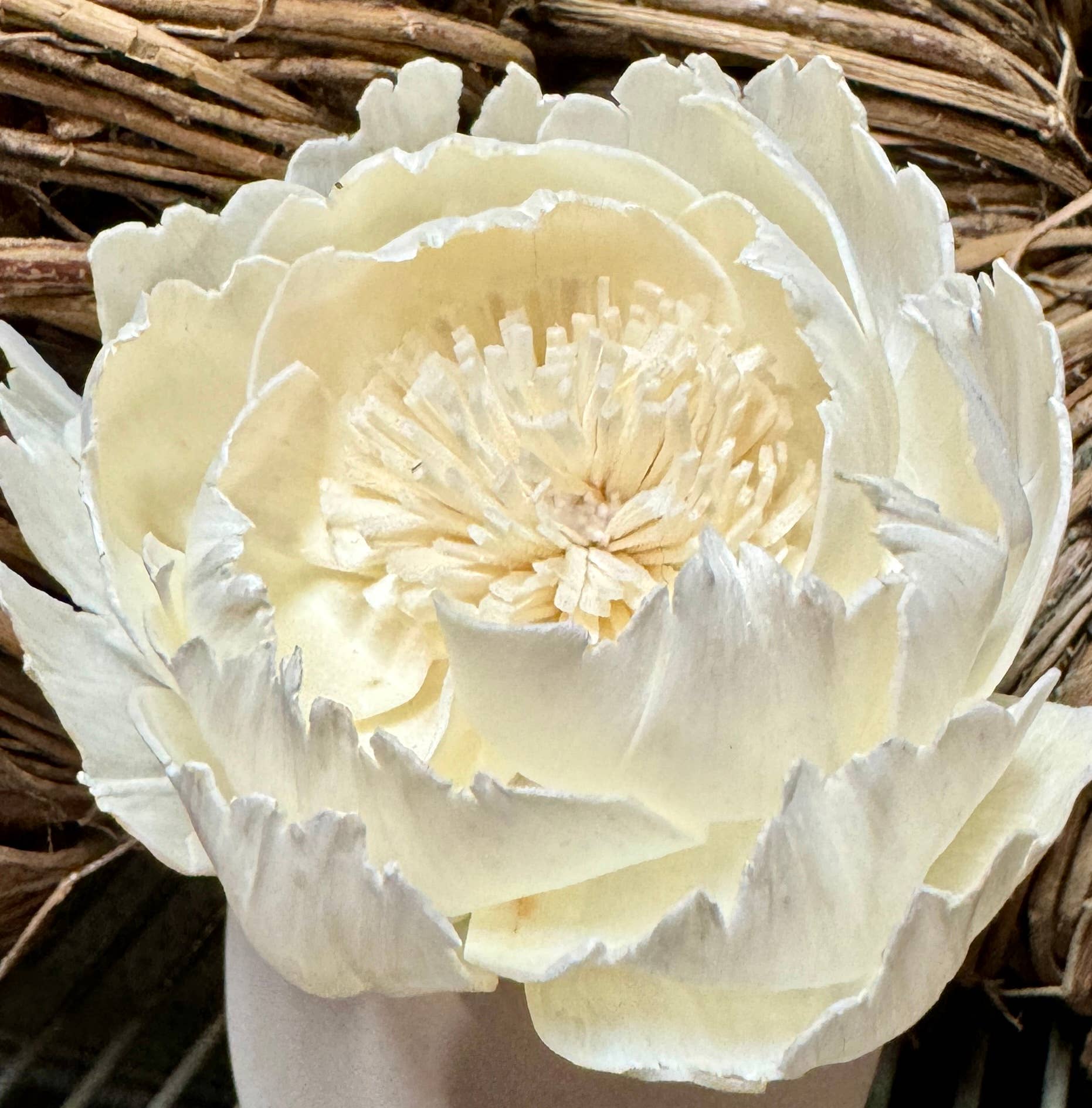 Anoq - Wholesale Reed Diffuser - Ceramic fragrance diffuser - Vase diffuser CORALI Cream5