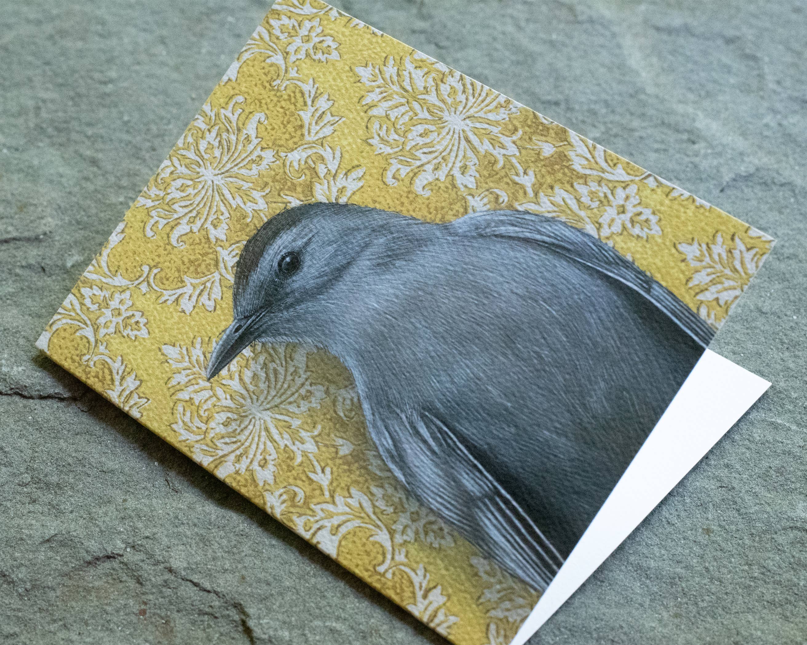 Emily Uchytil – Engroshandel Hverdagshilsen kort – Catbird - Note-kort4