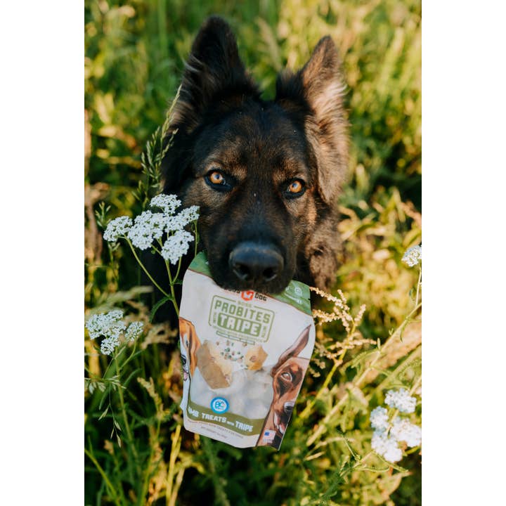 BOSS DOG BRAND, INC. - Wholesale Pet Treats - Dog - Boss Dog & Boss Cat Probites W/ Tripe- Lamb (3oz)1