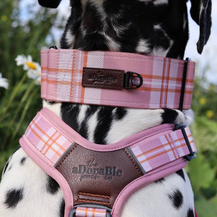 The aDoraBle Pooch Company - Wholesale Pet collar – Dog - Heritage Martingale Collar - Strawberry Cottage13