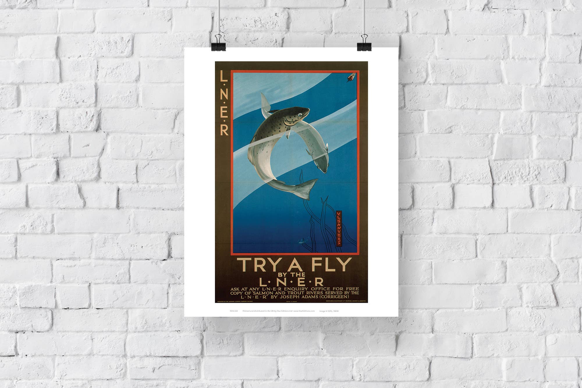 Star Editions – wholesale Art print – Try A Fly - 11X14” Premium Art Print2